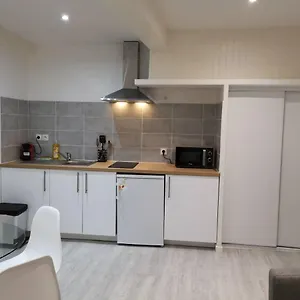  Appartement Saint Etienne Studio Lot 1 France