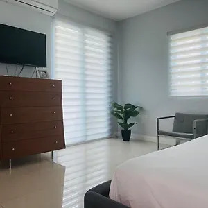 Harloe's Apartment Kingston